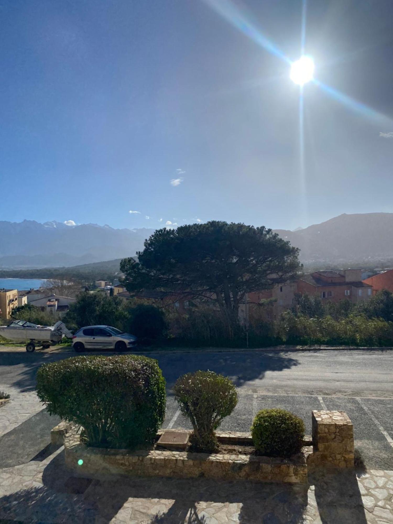 Coeur De Calvi Apartment Calvi  Bagian luar foto